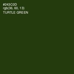 #243C0D - Turtle Green Color Image